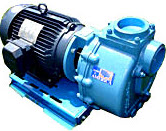 centrifugal pumps coupled to electric motors image